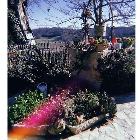 La Casina Di Ancicucco 1 Apartment San Gimignano Bagian luar foto