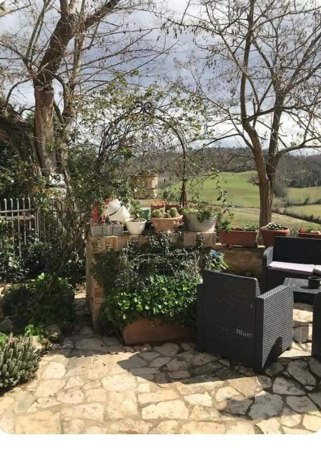 La Casina Di Ancicucco 1 Apartment San Gimignano Bagian luar foto
