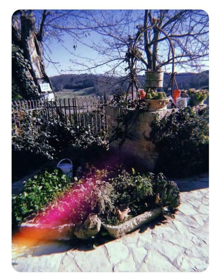 La Casina Di Ancicucco 1 Apartment San Gimignano Bagian luar foto